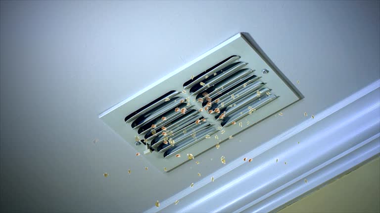 Best Air Vent Cleaning Services  in USA